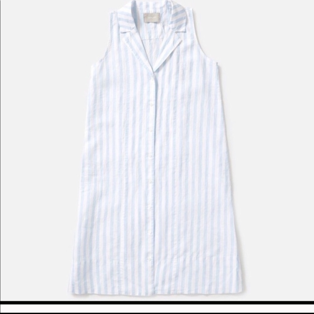 Everlane Stripe Linen dress
